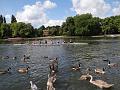 2014-0809-1200_Kingston_22C